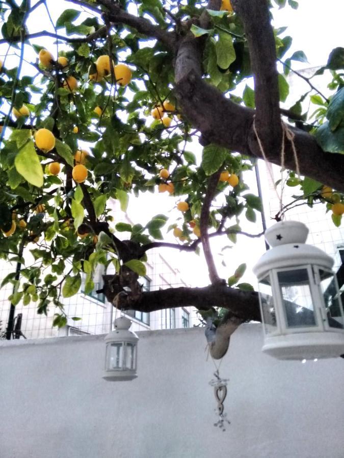 Willkommen In Einem Private Garden Bari Exterior photo